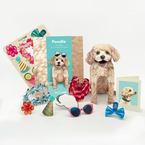 POODLE POP UP CARD