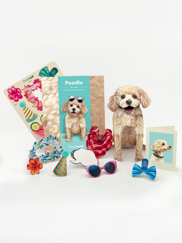 POODLE POP UP CARD