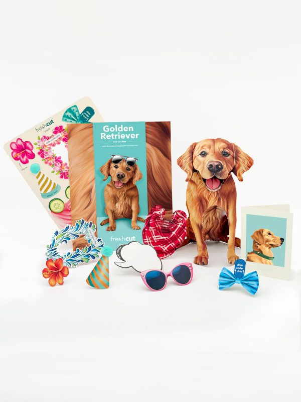 GOLDEN RETRIEVER POP UP CARD