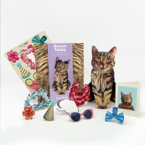 BROWN TABBY POP UP CARD