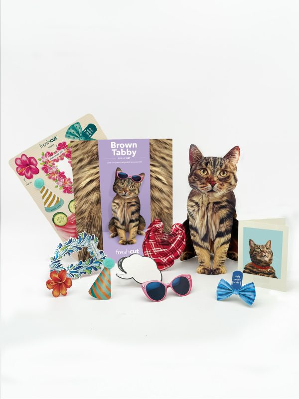 BROWN TABBY POP UP CARD