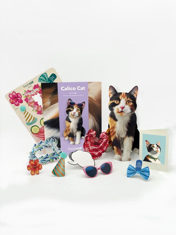 CALICO CAT POP UP CARD