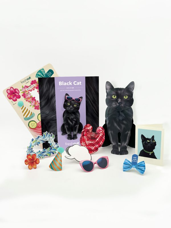 BLACK CAT POP UP CARD