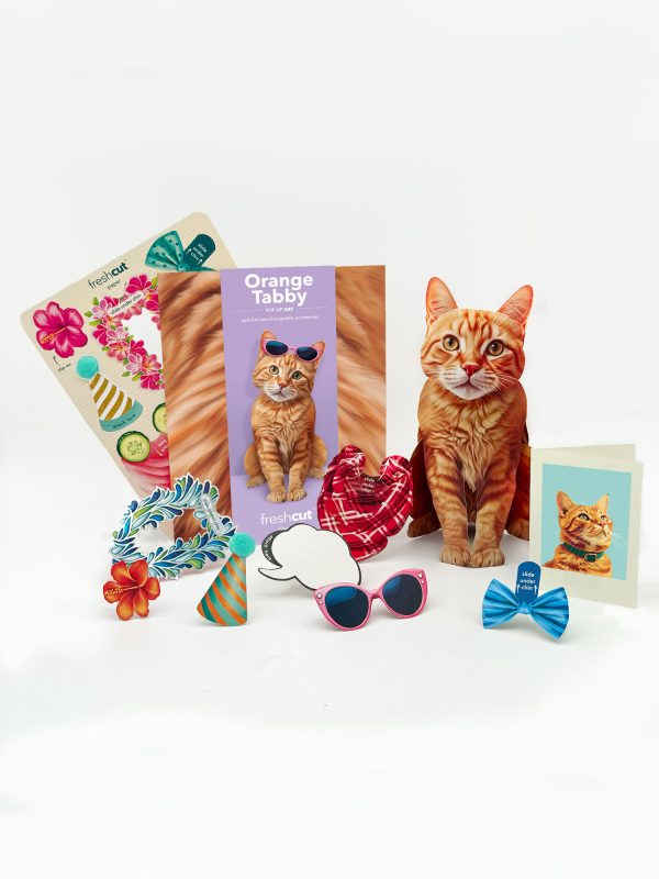 ORANGE TABBY POP UP CARD