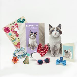 RAGDOLL CAT POP UP CARD