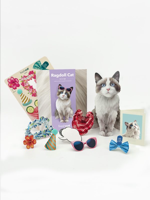 RAGDOLL CAT POP UP CARD